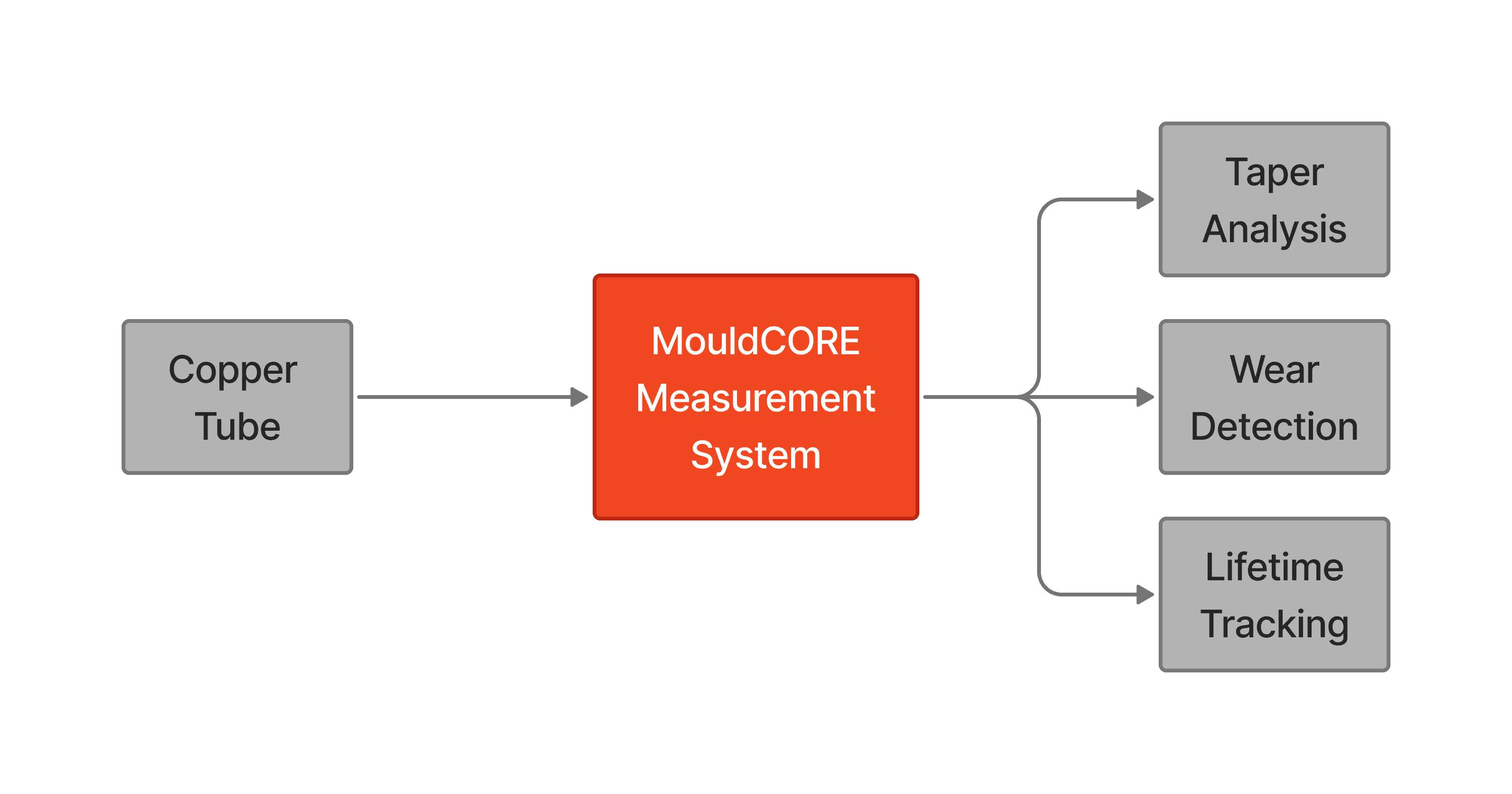 CastCORE TE system architecture diagram